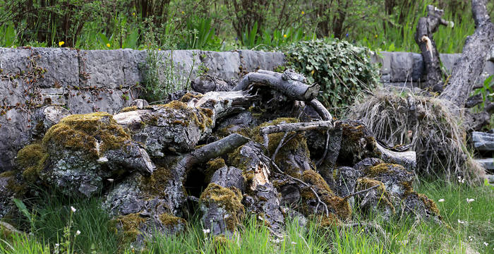 Trockensteinmauer