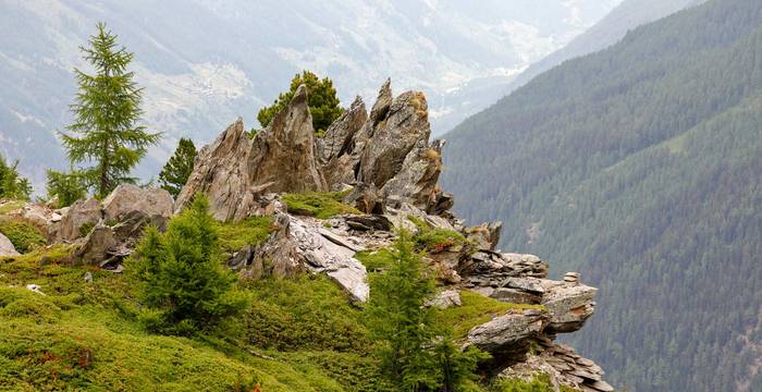 Lebensraum Alpen © Pro Natura