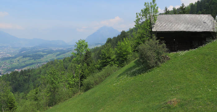 Muisschwendli © Seraina Bamert