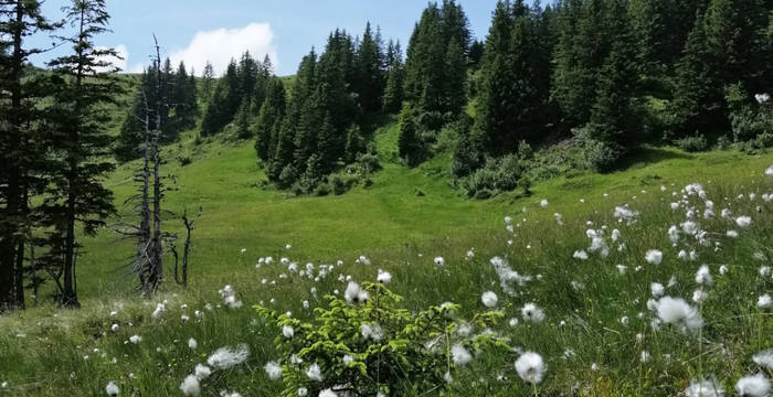 Moorlandschaft Glaubenberg