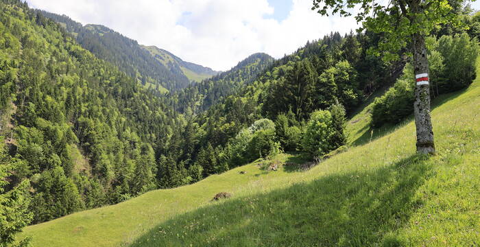 Muisschwendli Wanderweg