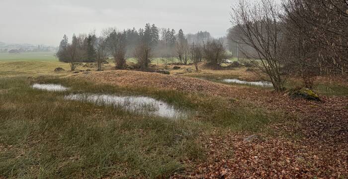 Ingäu Teiche Herbstimmung
