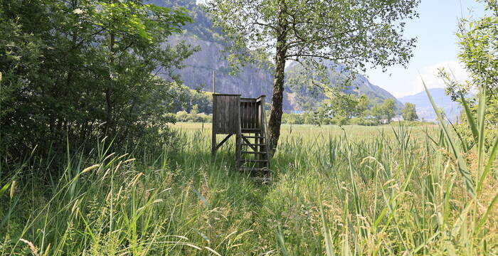 Aussichtsturm im Lehrgarten