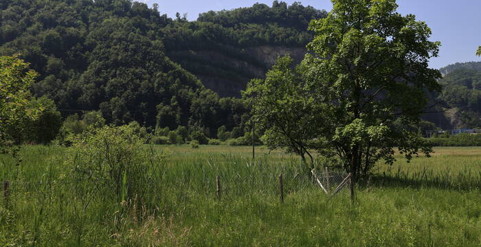 Blick vom Lehrgarten ins Stansstaderried