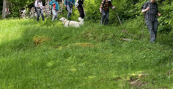Wanderung mit Pro Natura Unterwalden