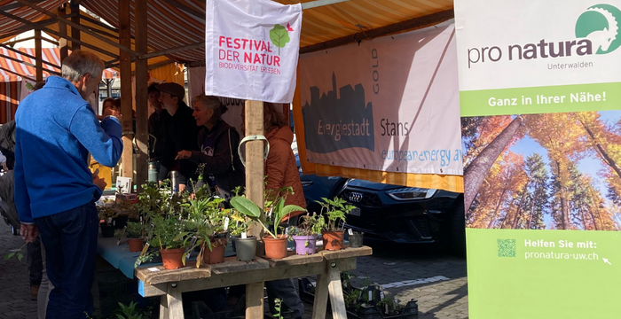 Wildstaudenmarkt Pro Natura Unterwalden Stans