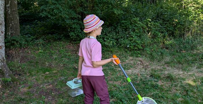 Mit Fangnetz ausgerüstet auf Insektenjagd