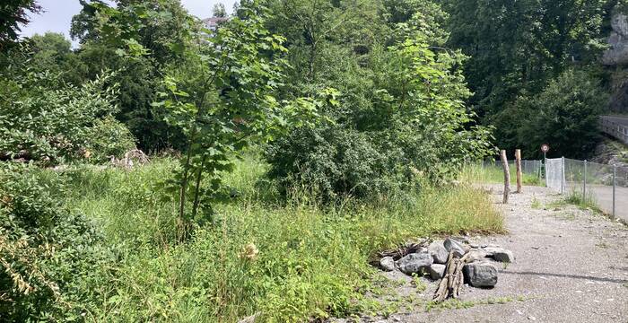 Lebensraumaufwertung Stansstad