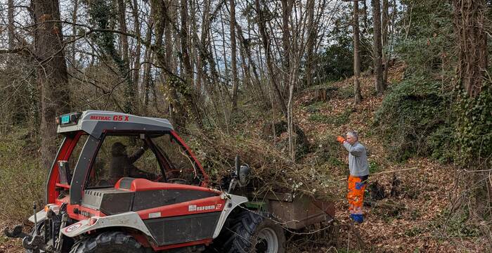 Freiwillige bei der Arbeit