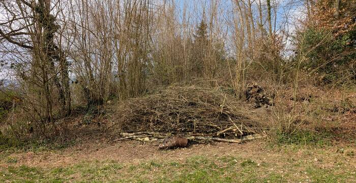 Freiwillige bei der Arbeit