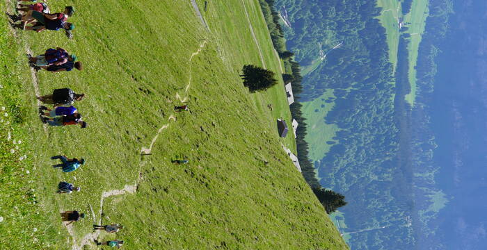 Jugendgruppe Naturschutz Luzern