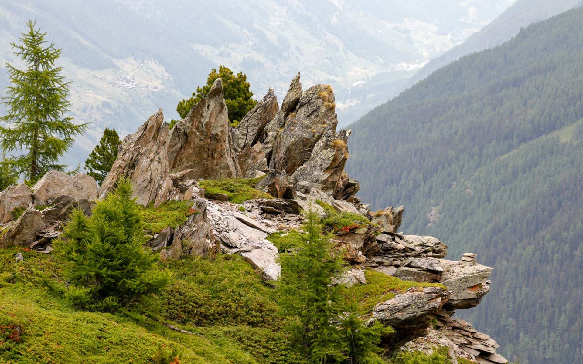 Lebensraum Alpen © Pro Natura