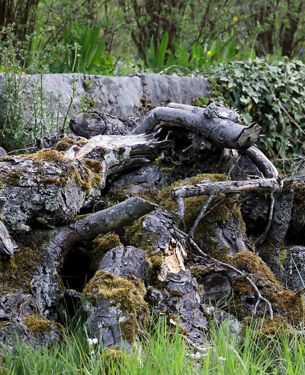 Trockensteinmauer