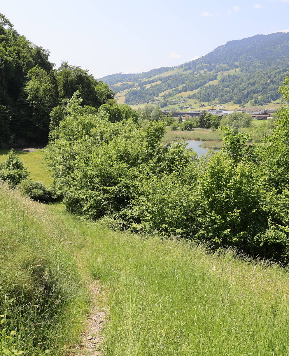 Zöpfen