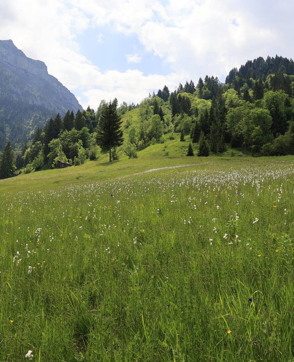Rieter Oberrickenbach