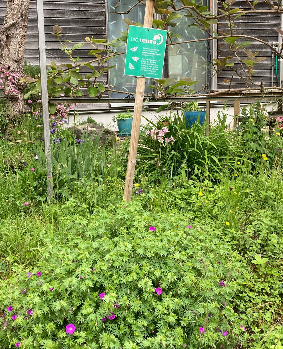 Schaugarten