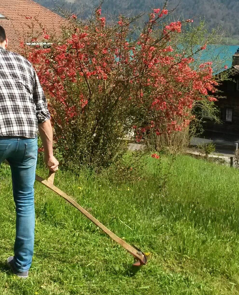 Mähen mit der Sense