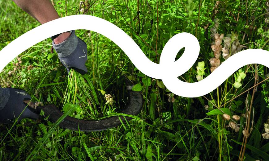 Headerbild BONJOUR NATURE