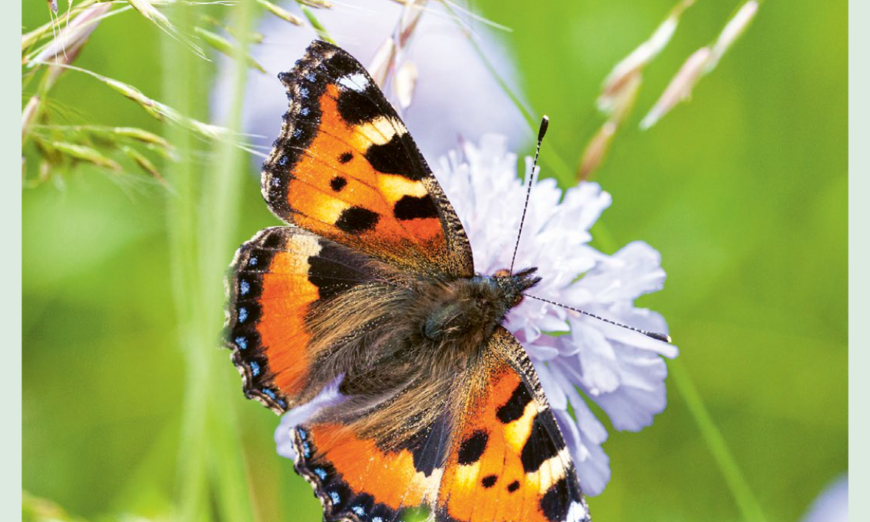 Lokal Pro Natura Unterwalden