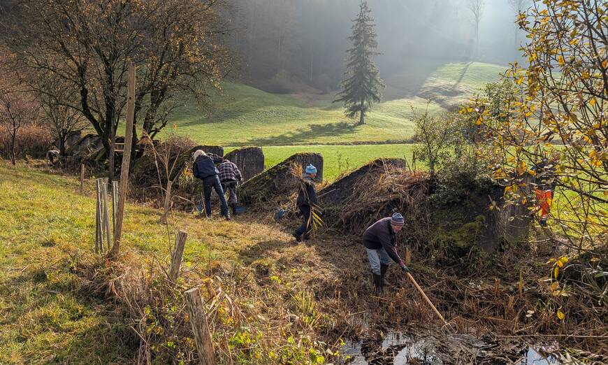 Pflegeinsatz Panzersperre