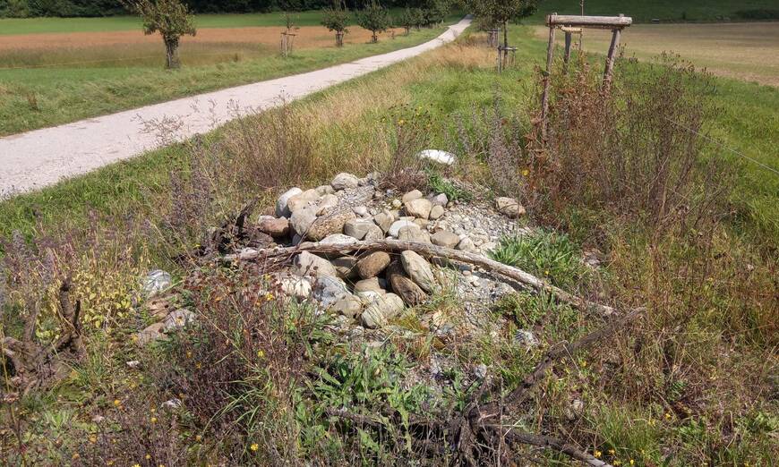 Strukturen für Wildbienen
