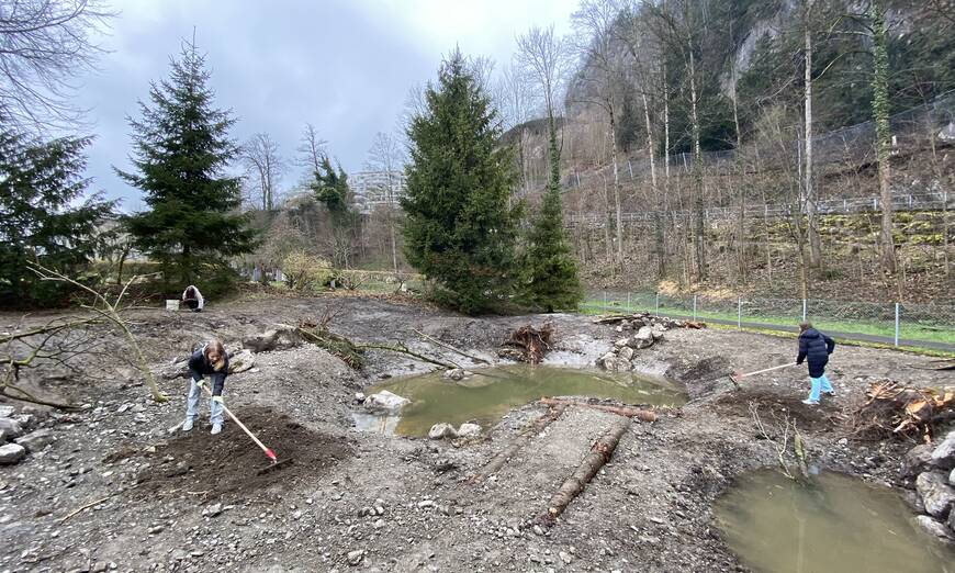 Schuleinsatz Lebensraumaufwertung Stansstad