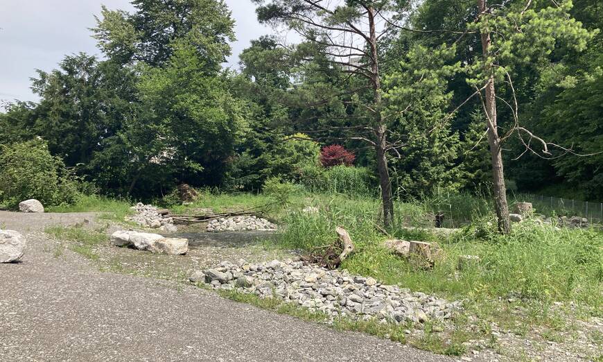 Lebensraumaufwertung Stansstad