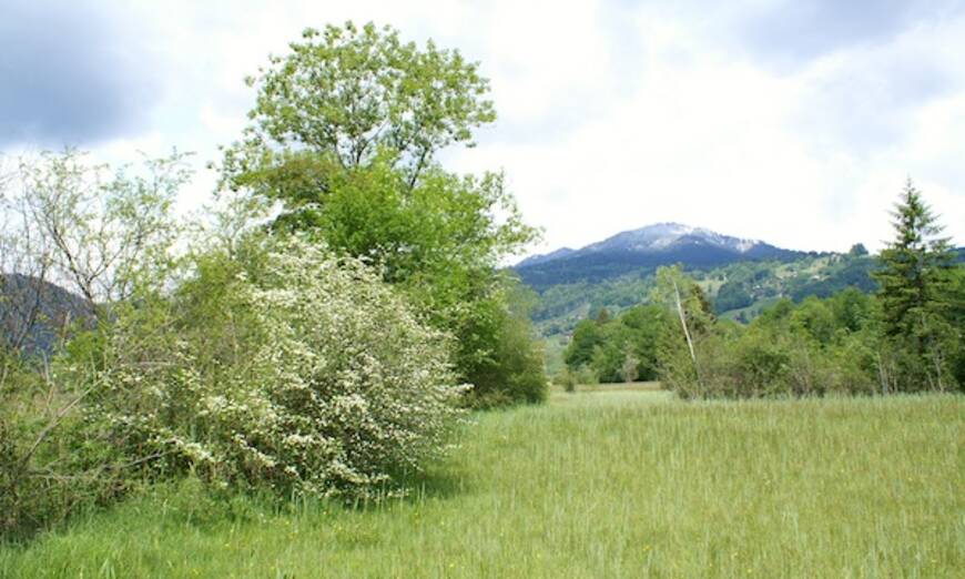 Usser Allmend, Giswil